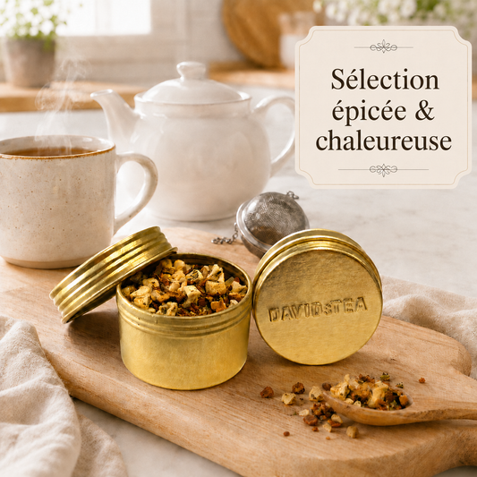 Capsule de Thé - Sélection Épicée & Chaleureuse – DAVIDsTEA